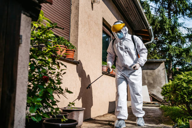 Best Pest Prevention Services  in Catlin, IL