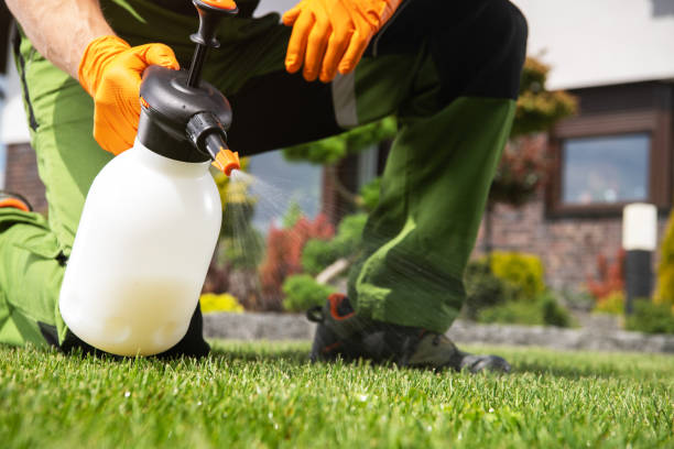 Pest Control Cost in Catlin, IL