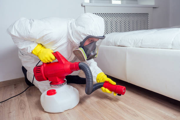 Best Wasp Removal Services  in Catlin, IL