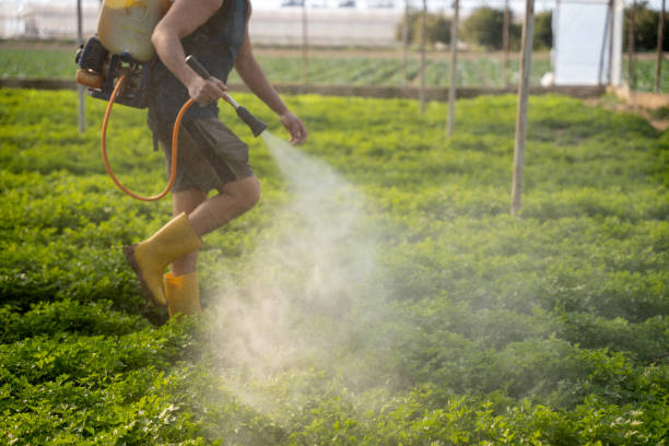 Best Emergency Pest Control  in Catlin, IL